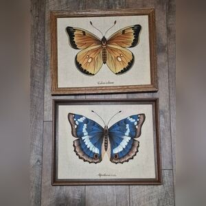 Butterfly Wall Art Set